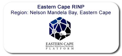 nelson-mandela-bay.png