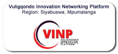 vinp.png